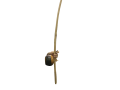 Berimbau
