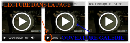 Galerie de vidéos