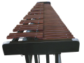 Xylophone